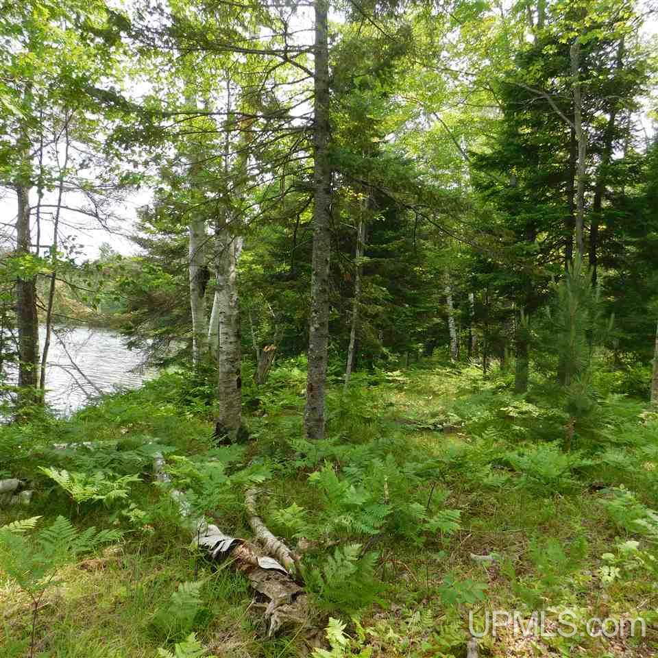 Tbd Reisner Lake Road, Unit 4 5 & 6 Long Lake, WI 54542 - Photo 8 of 9