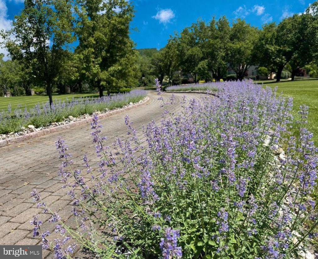 6000 Atkinson Road New Hope, PA 18938 - Photo 2 of 72