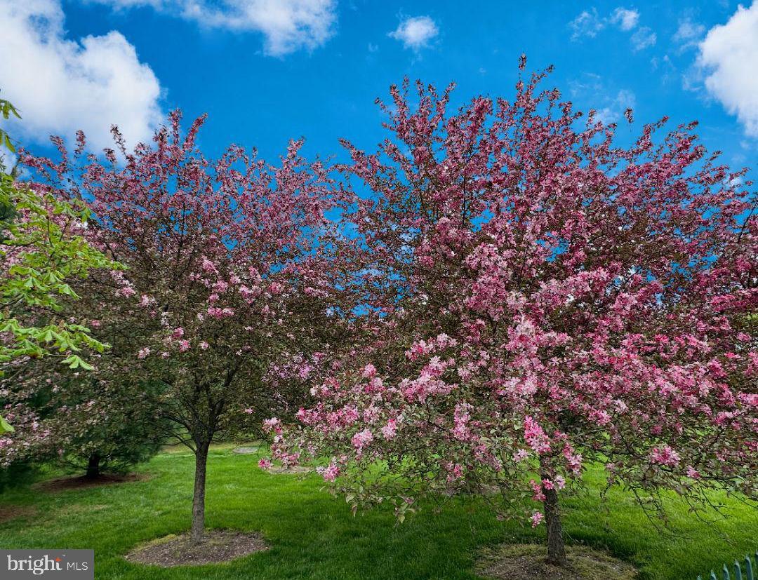 6000 Atkinson Road New Hope, PA 18938 - Photo 60 of 72
