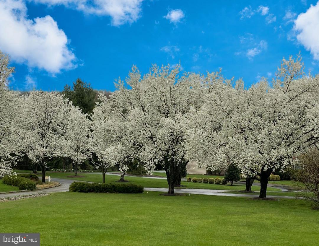 6000 Atkinson Road New Hope, PA 18938 - Photo 70 of 72