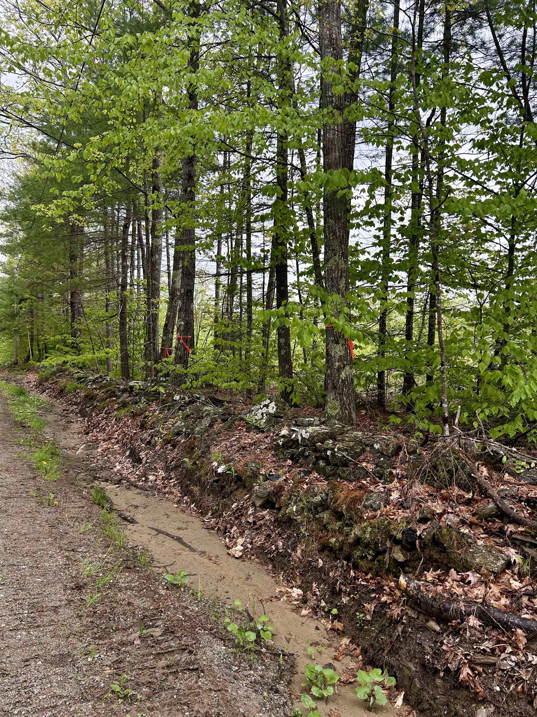 Farm Road Keene, NH 03431 - Photo 2 of 9