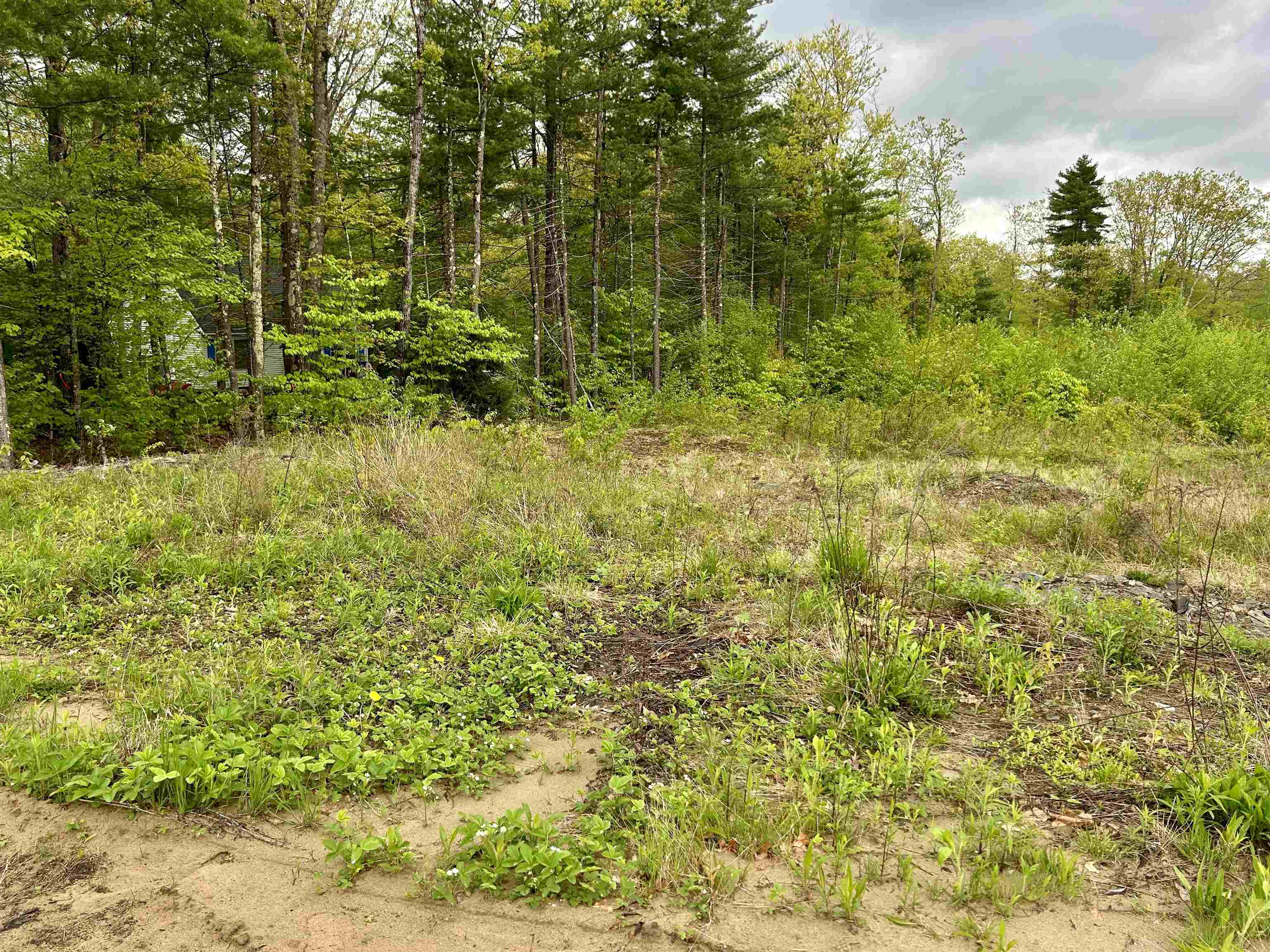 Farm Road Keene, NH 03431 - Photo 6 of 9