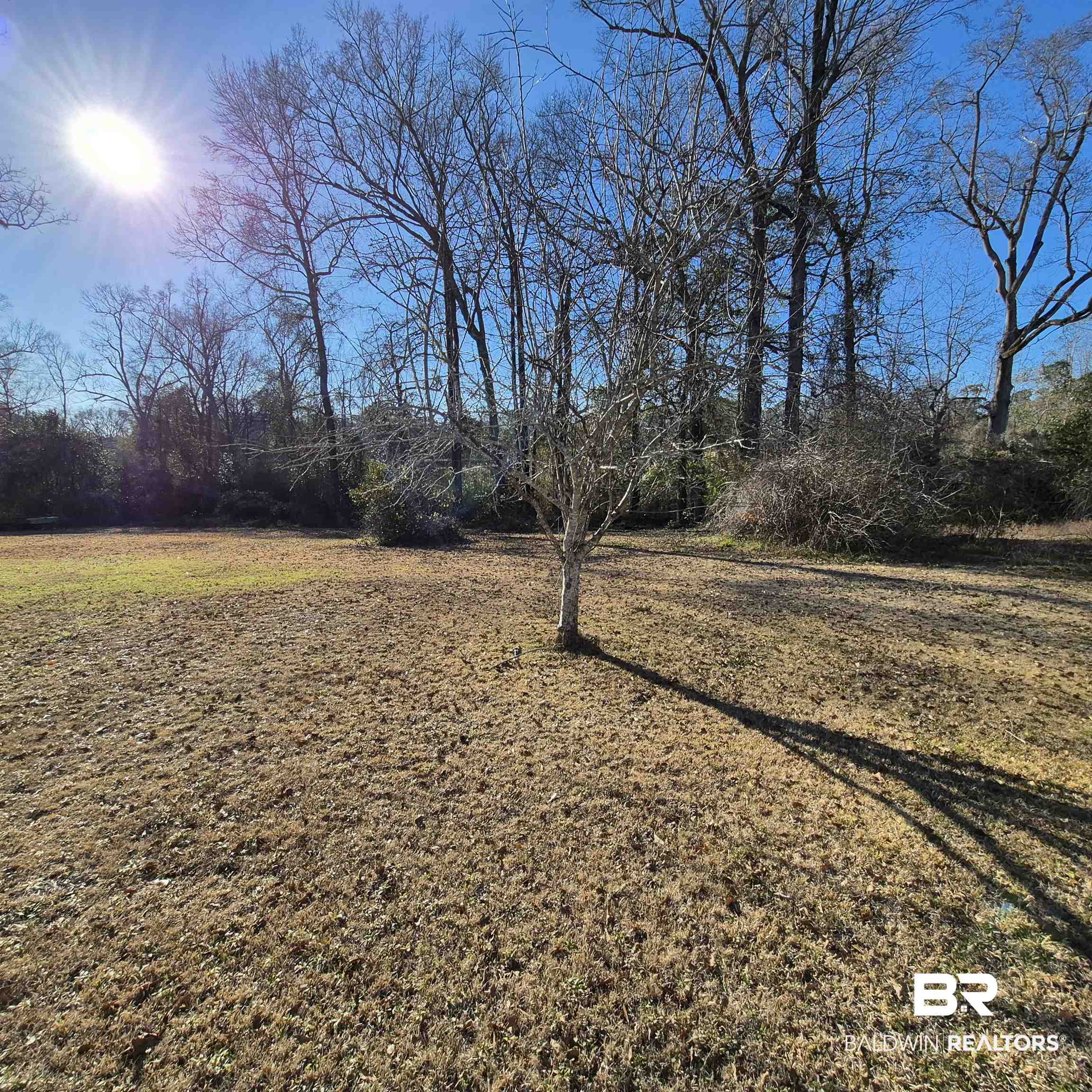 320 Bruner Avenue Evergreen, AL 36401 - Photo 13 of 15 View of yard