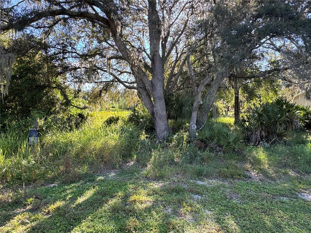 2040 North Morningside Road Avon Park, FL 33825 - Photo 3 of 8