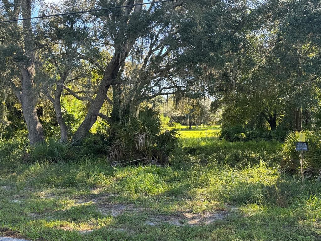 2040 North Morningside Road Avon Park, FL 33825 - Photo 4 of 8