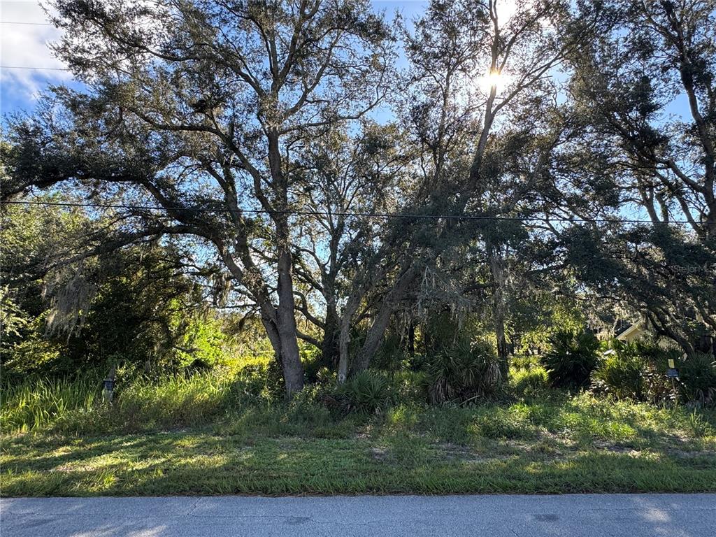 2040 North Morningside Road Avon Park, FL 33825 - Photo 6 of 8