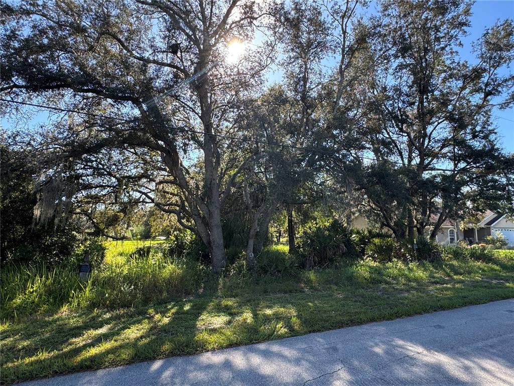 2040 North Morningside Road Avon Park, FL 33825 - Photo 7 of 8