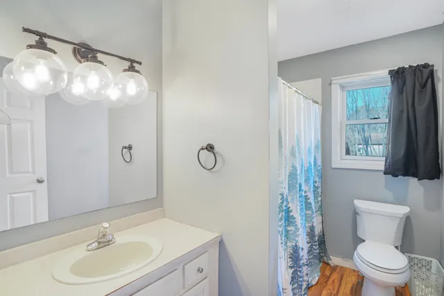 a bathroom with a sink a toilet a mirror and shower