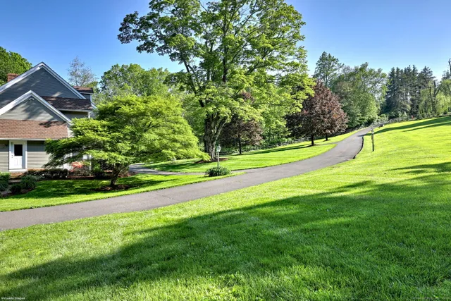 a view of a garden with a slide