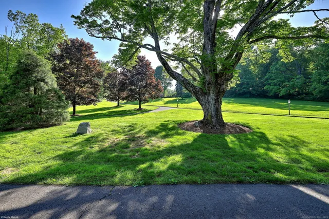 a big yard with lots of green space and trees