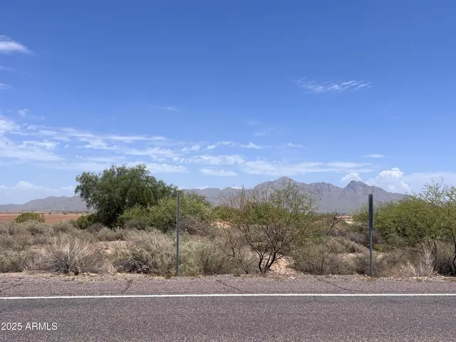 a view of a dry yard with lots of green space