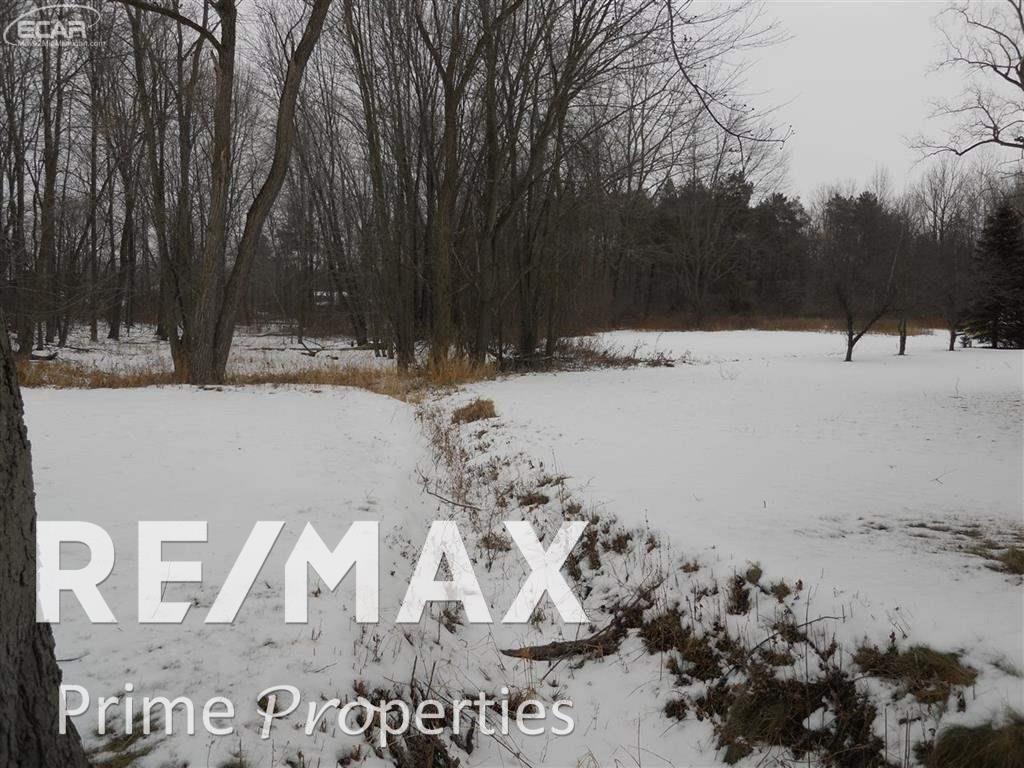 8255 Bell Road Birch Run, MI 48415 - Photo 2 of 44
