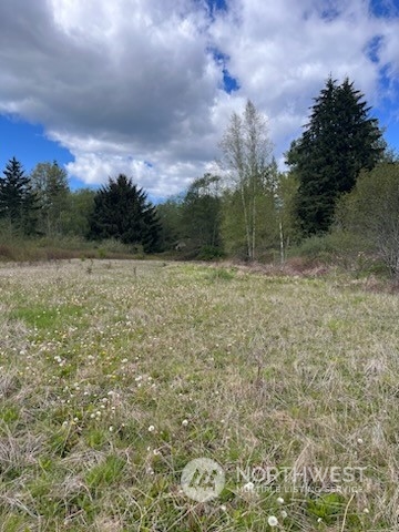 3149 Butler Creek Road Sedro-Woolley, WA 98284 - Photo 1 of 14 Gallery Image 1