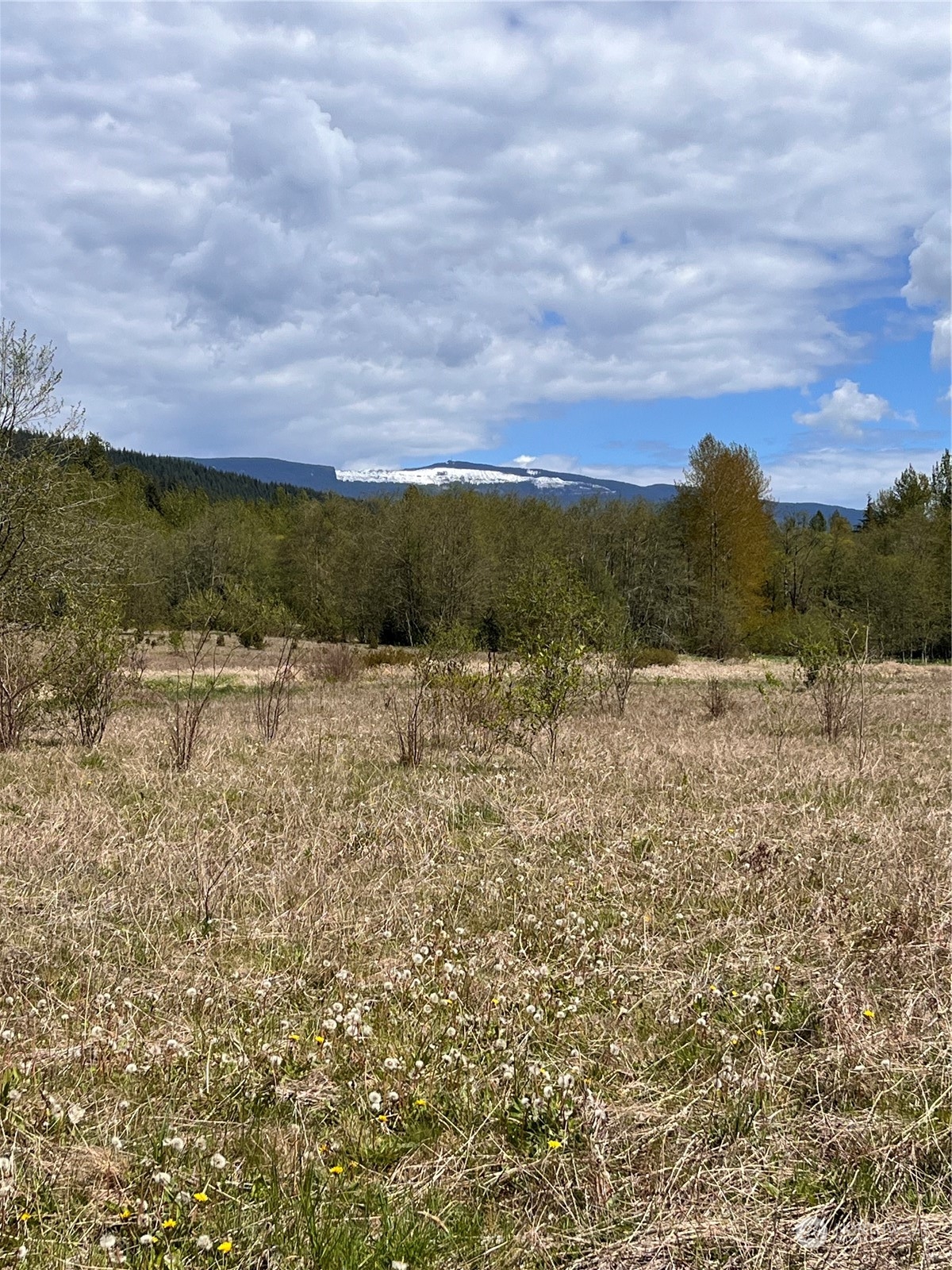 3149 Butler Creek Road Sedro-Woolley, WA 98284 - Photo 3 of 14 Gallery Image 3