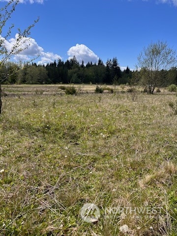 3149 Butler Creek Road Sedro-Woolley, WA 98284 - Photo 4 of 14 Gallery Image 4