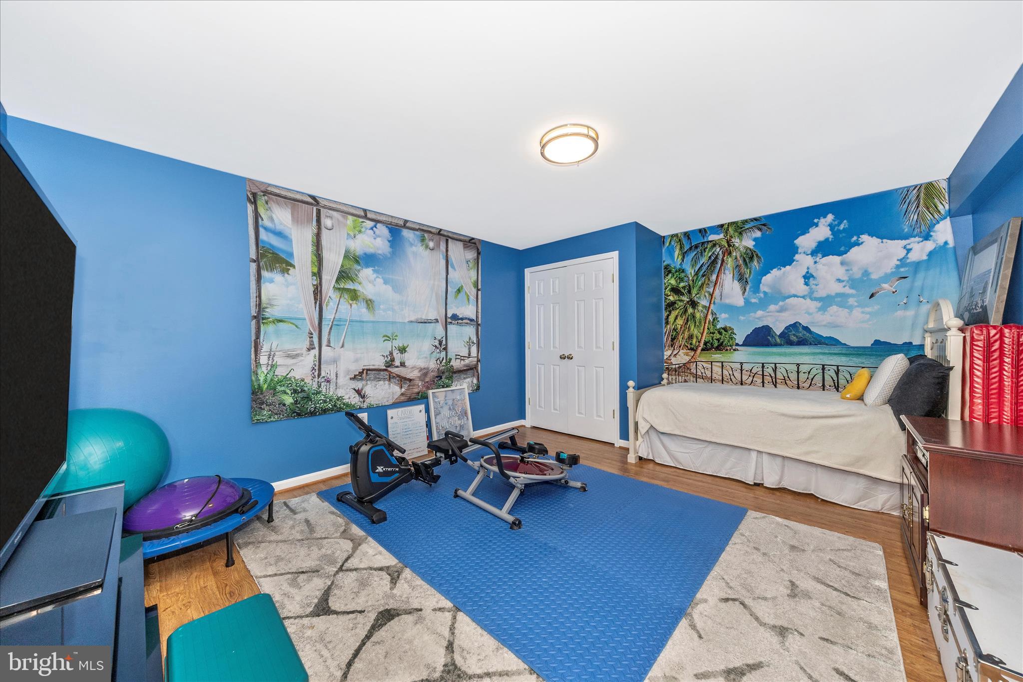 11008 Country Club Road New Market, MD 21774 - Photo 43 of 84 Flex Room 2