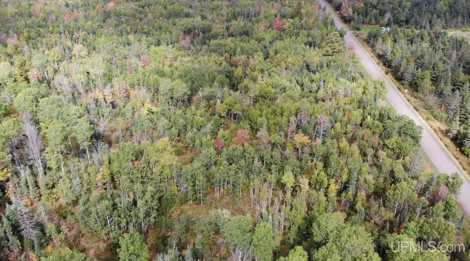 Tbd 2 Norwich Road Ewen, MI 49925 - Photo 4 of 15