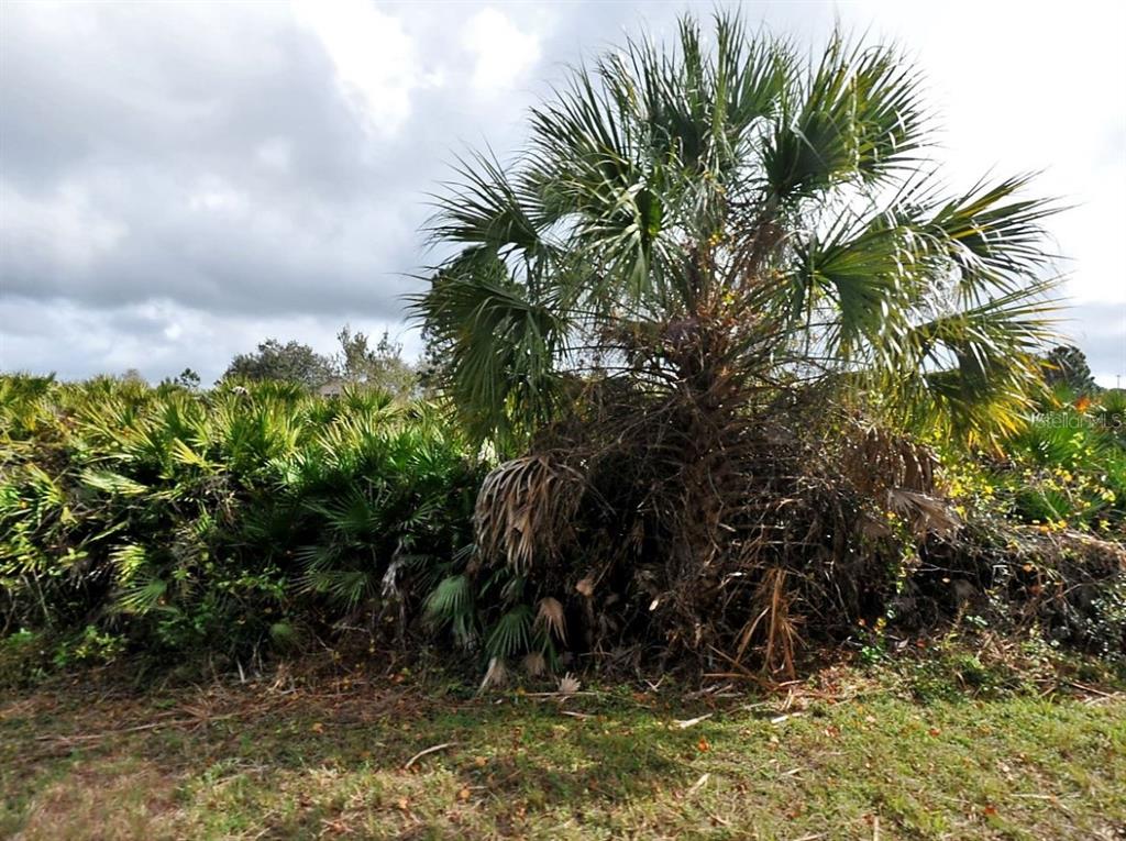 Callaghan Ln Port North Port, FL 34291 - Photo 3 of 3