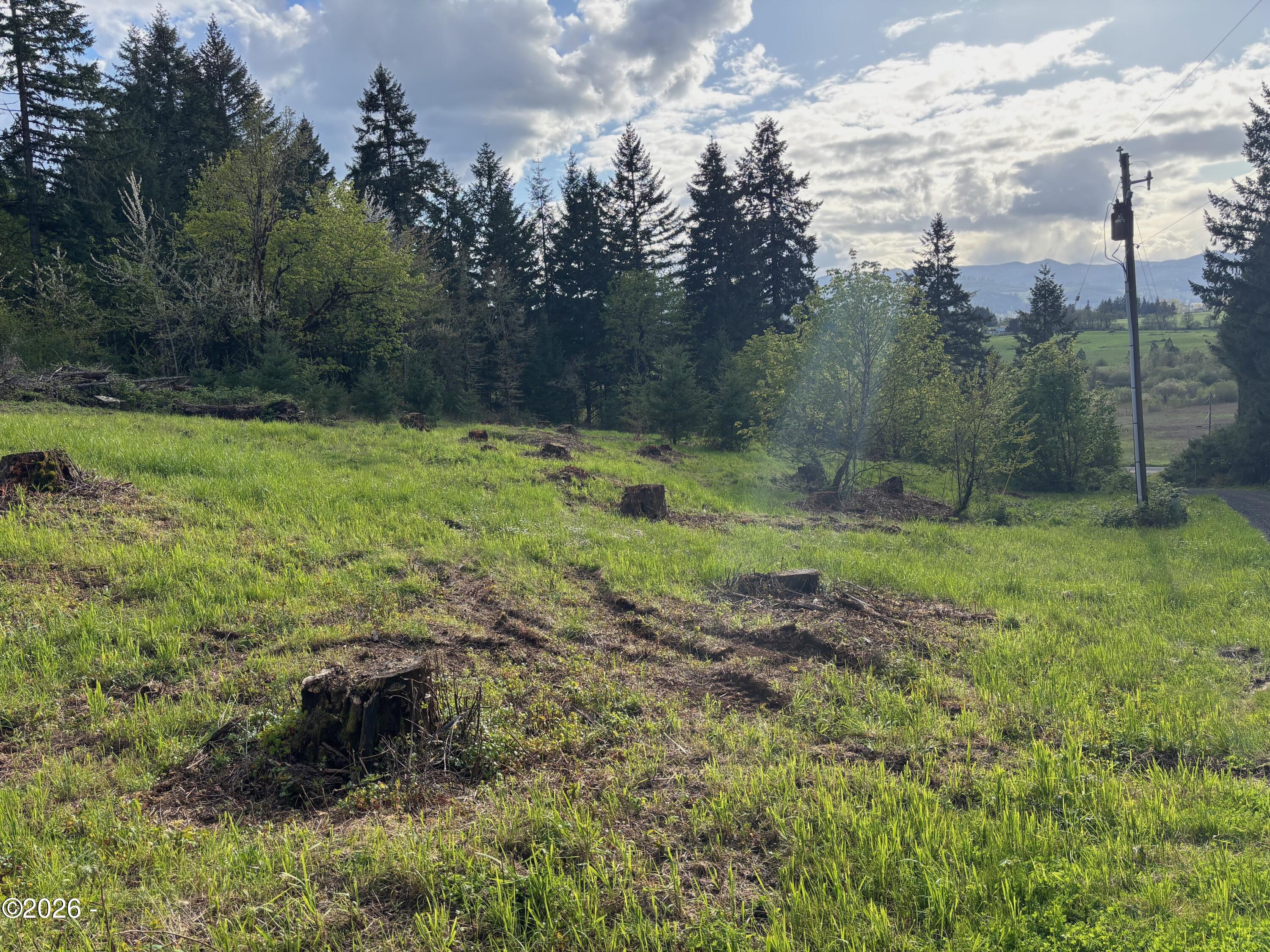 1305 Kings Ridge Road Dallas, OR 97338 - Photo 7 of 9 IMG_3348