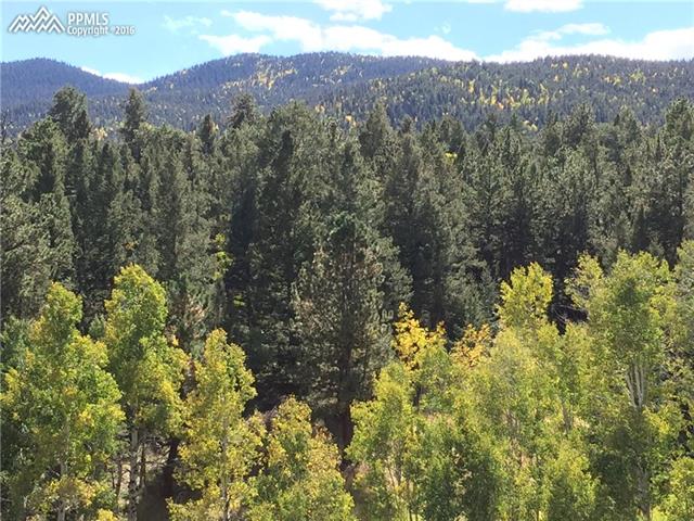 550 Pulver Road Lake George, CO 80827 - Photo 13 of 17 Gallery Image 13