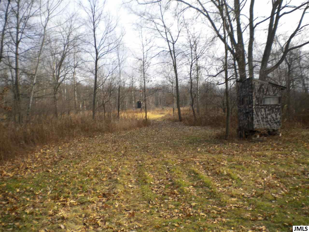 12759 Rountree Road Hanover, MI 49241 - Photo 5 of 17 Photo 5