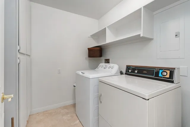 a view of a park with palm trees