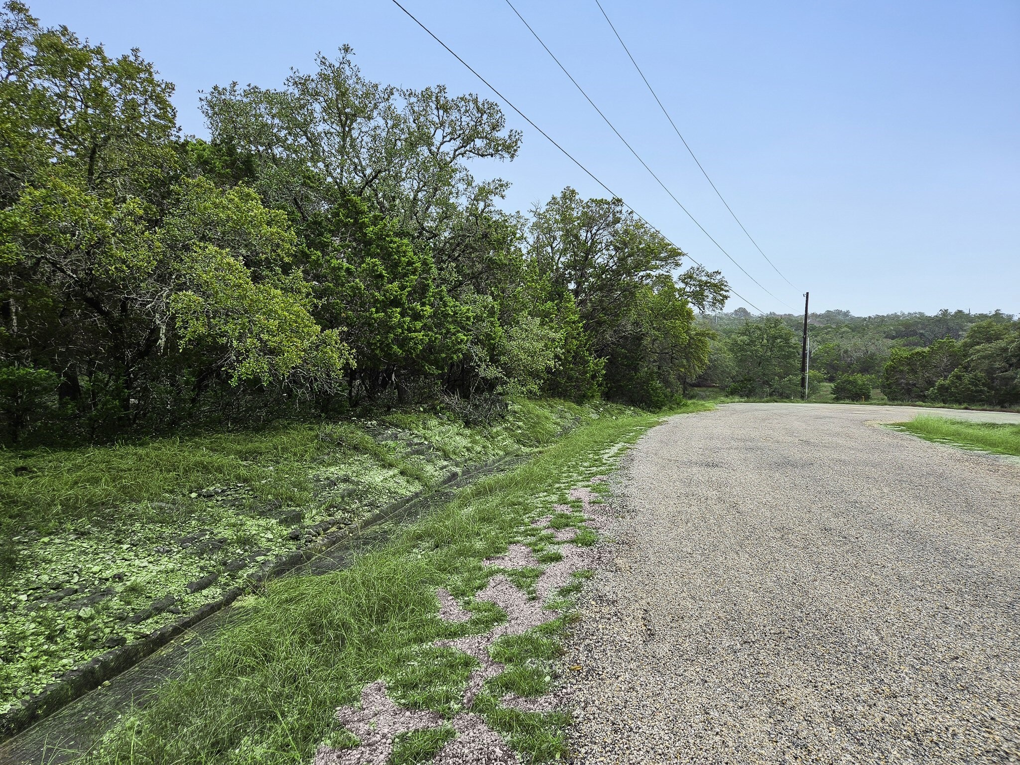 157 Verbena Circle Spring Branch, TX 78070 - Photo 11 of 32 a view of a backyard