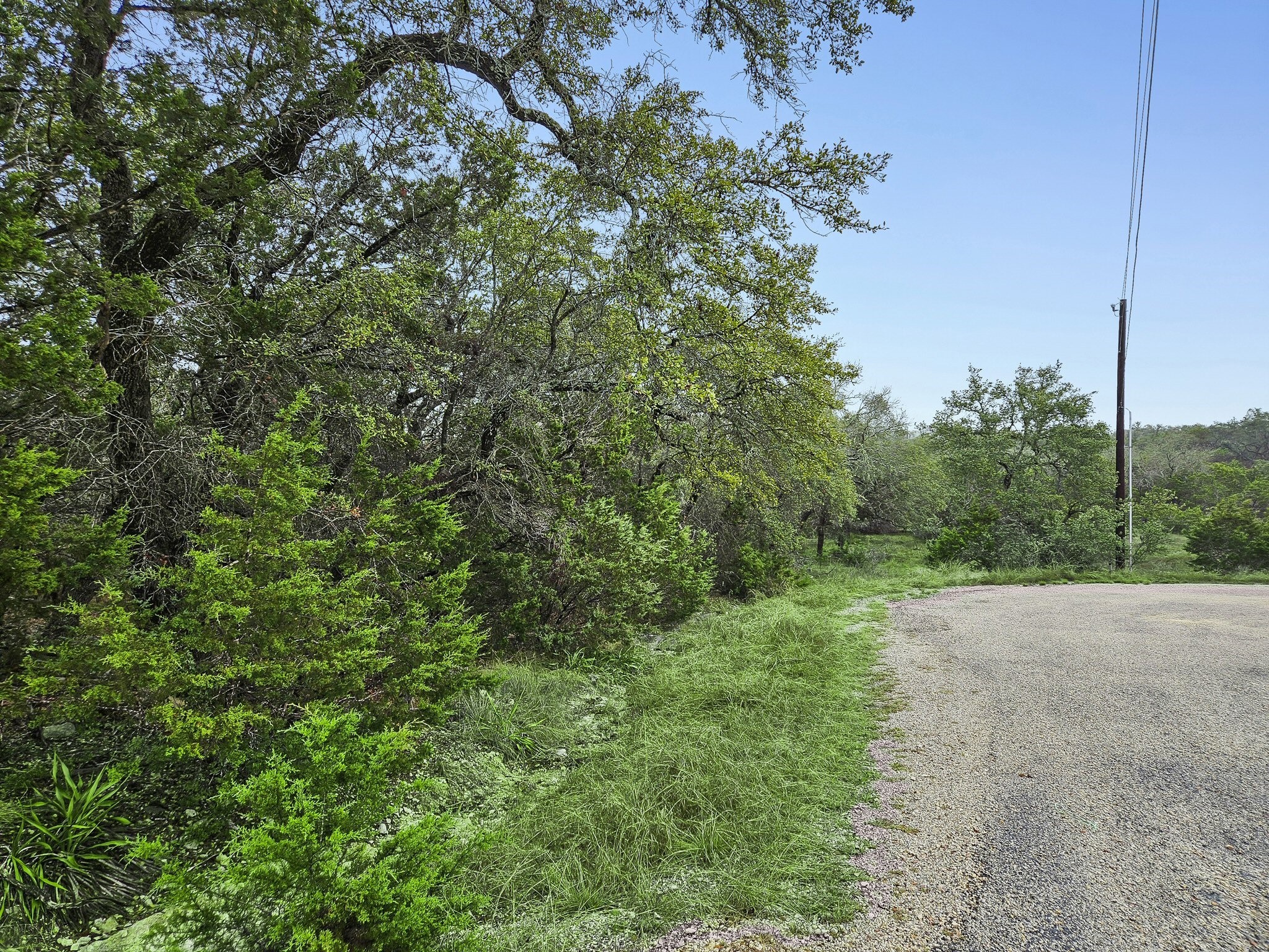 157 Verbena Circle Spring Branch, TX 78070 - Photo 14 of 32 a view of a field with plants and trees