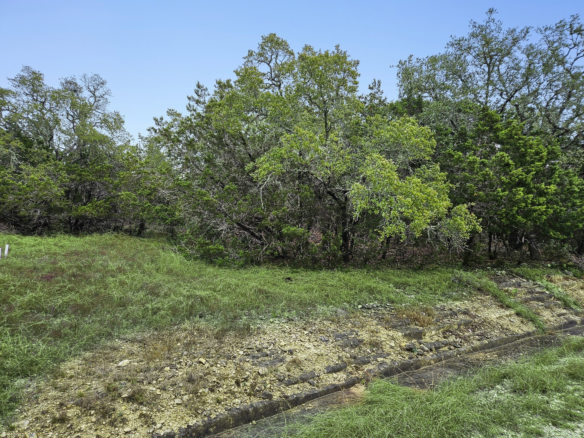157 Verbena Circle Spring Branch, TX 78070 - Photo 24 of 32 a view of a green field with lots of bushes