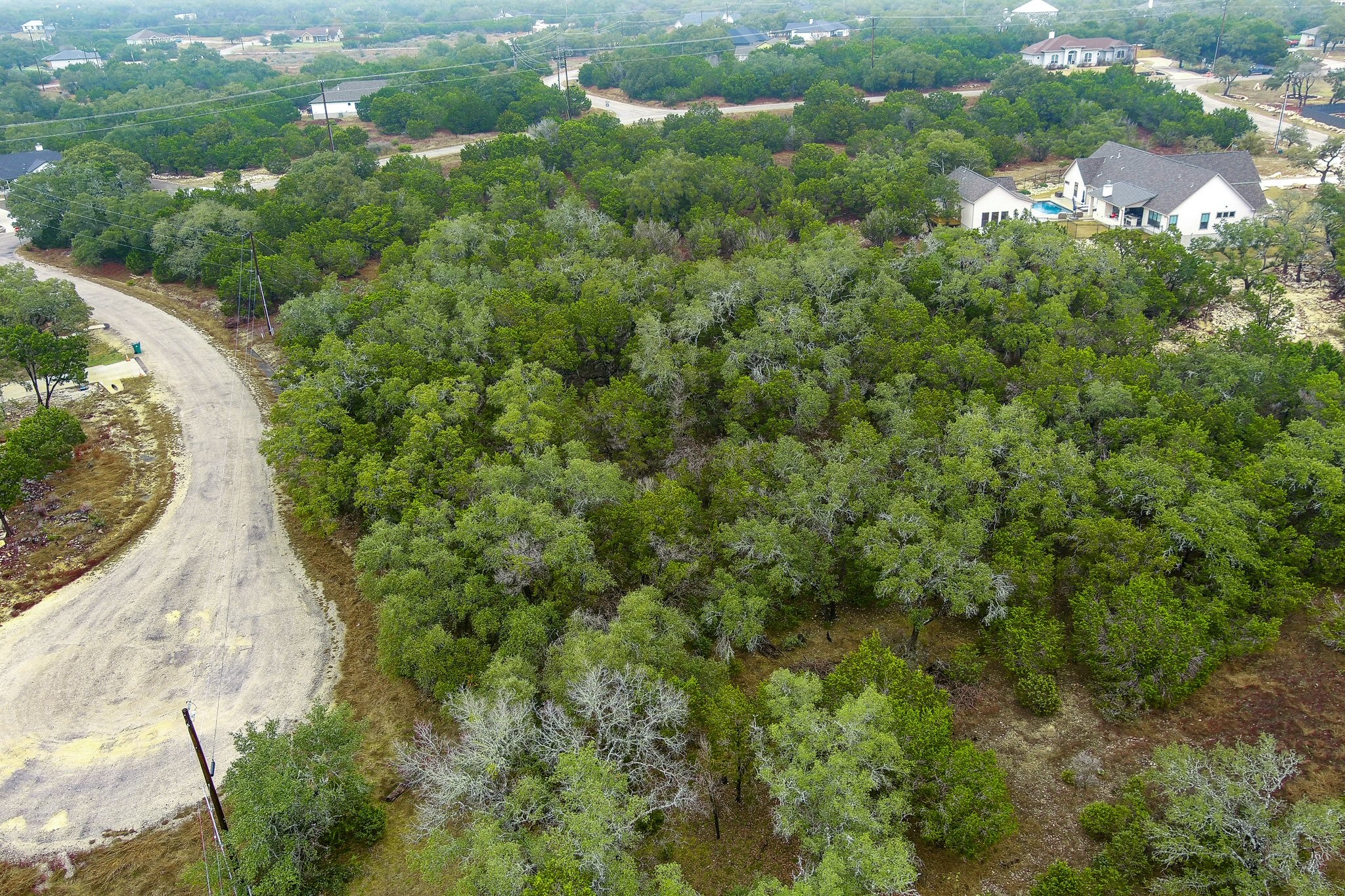 157 Verbena Circle Spring Branch, TX 78070 - Photo 26 of 32 a view of a house with a tree