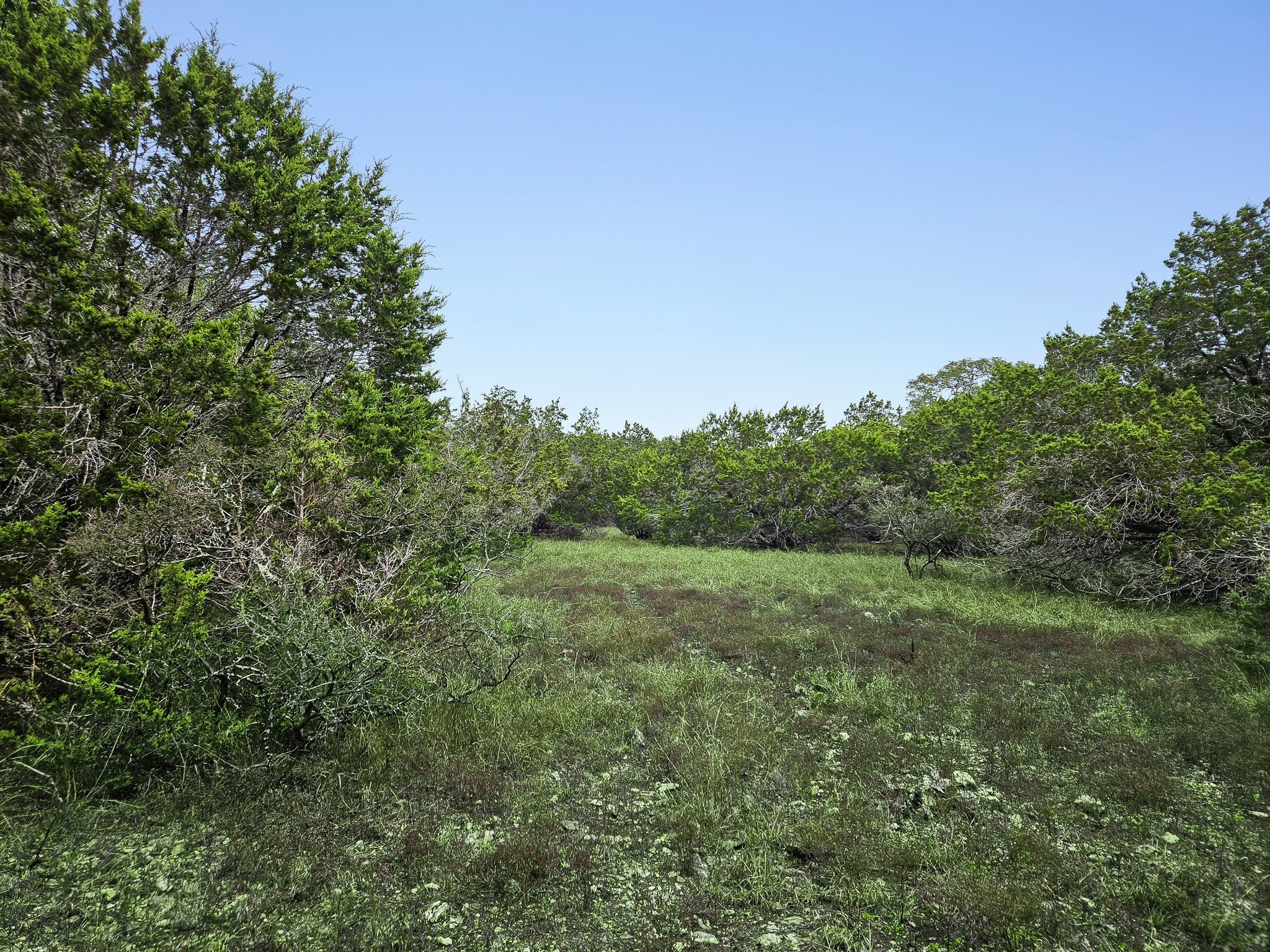 157 Verbena Circle Spring Branch, TX 78070 - Photo 27 of 32 a view of an outdoor space with a lake view