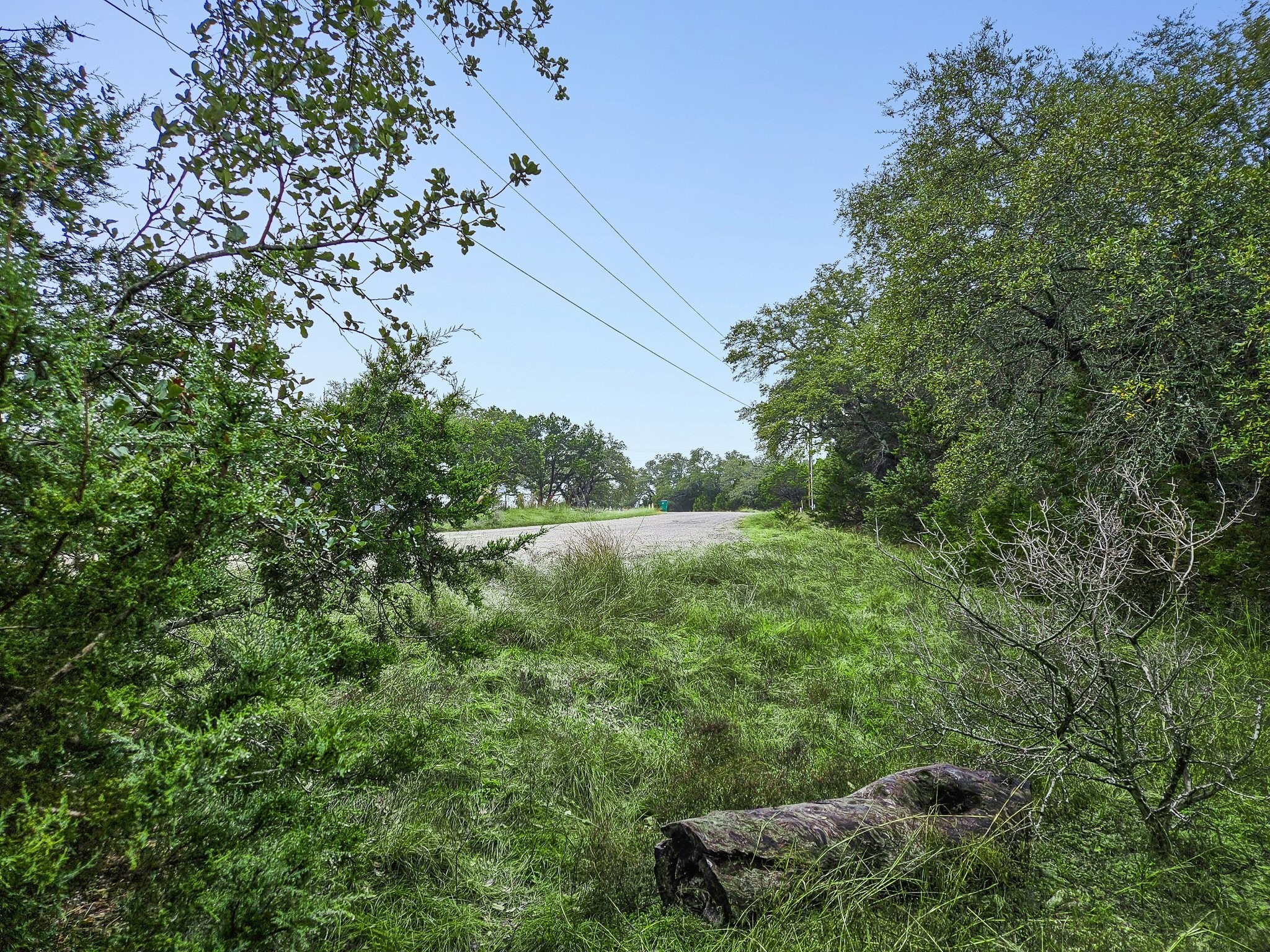 157 Verbena Circle Spring Branch, TX 78070 - Photo 3 of 32 a view of a green field with lots of bushes