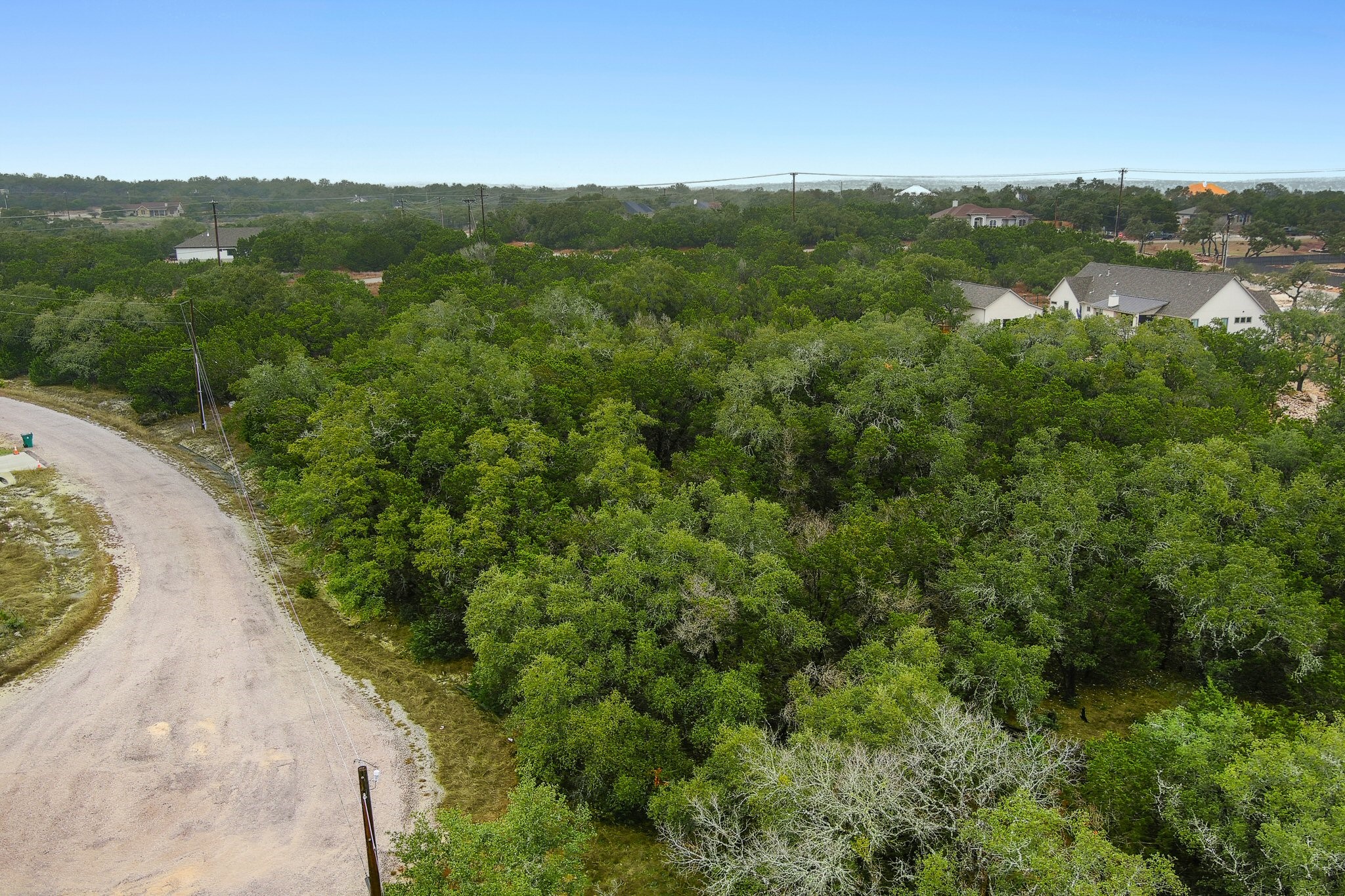 157 Verbena Circle Spring Branch, TX 78070 - Photo 5 of 32 a view of a forest with a street