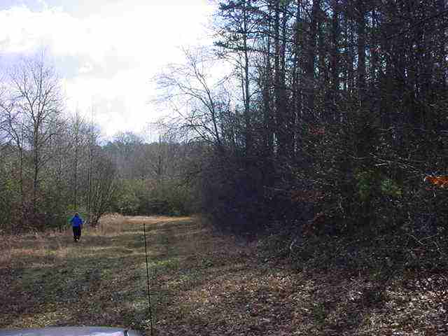 23-ac Mountain View Road Salem, SC 29676 - Photo 3 of 7 Gallery Image 3