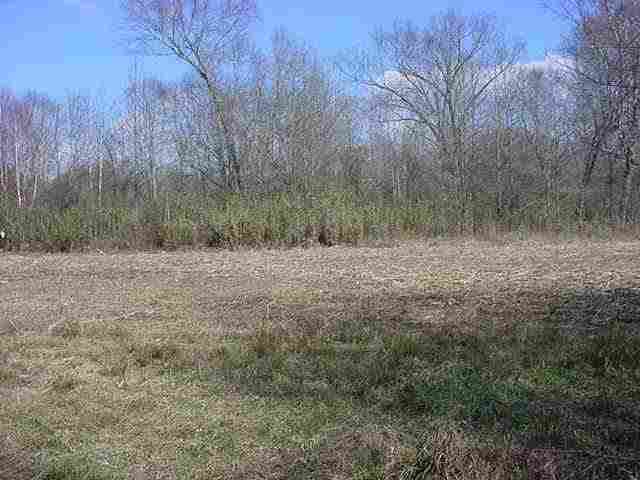23-ac Mountain View Road Salem, SC 29676 - Photo 4 of 7 Gallery Image 4