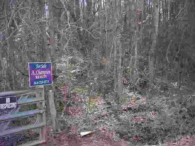 23-ac Mountain View Road Salem, SC 29676 - Photo 6 of 7 Gallery Image 6