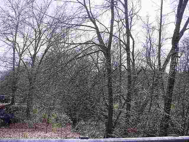 23-ac Mountain View Road Salem, SC 29676 - Photo 7 of 7 Gallery Image 7