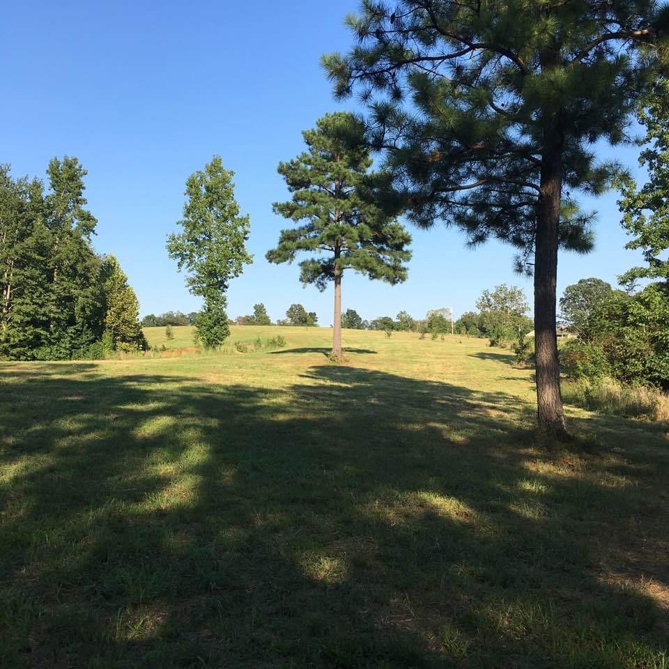 425 Hayes Ridge Road Indian Mound, TN 37079 - Photo 16 of 18 Gallery Image 16