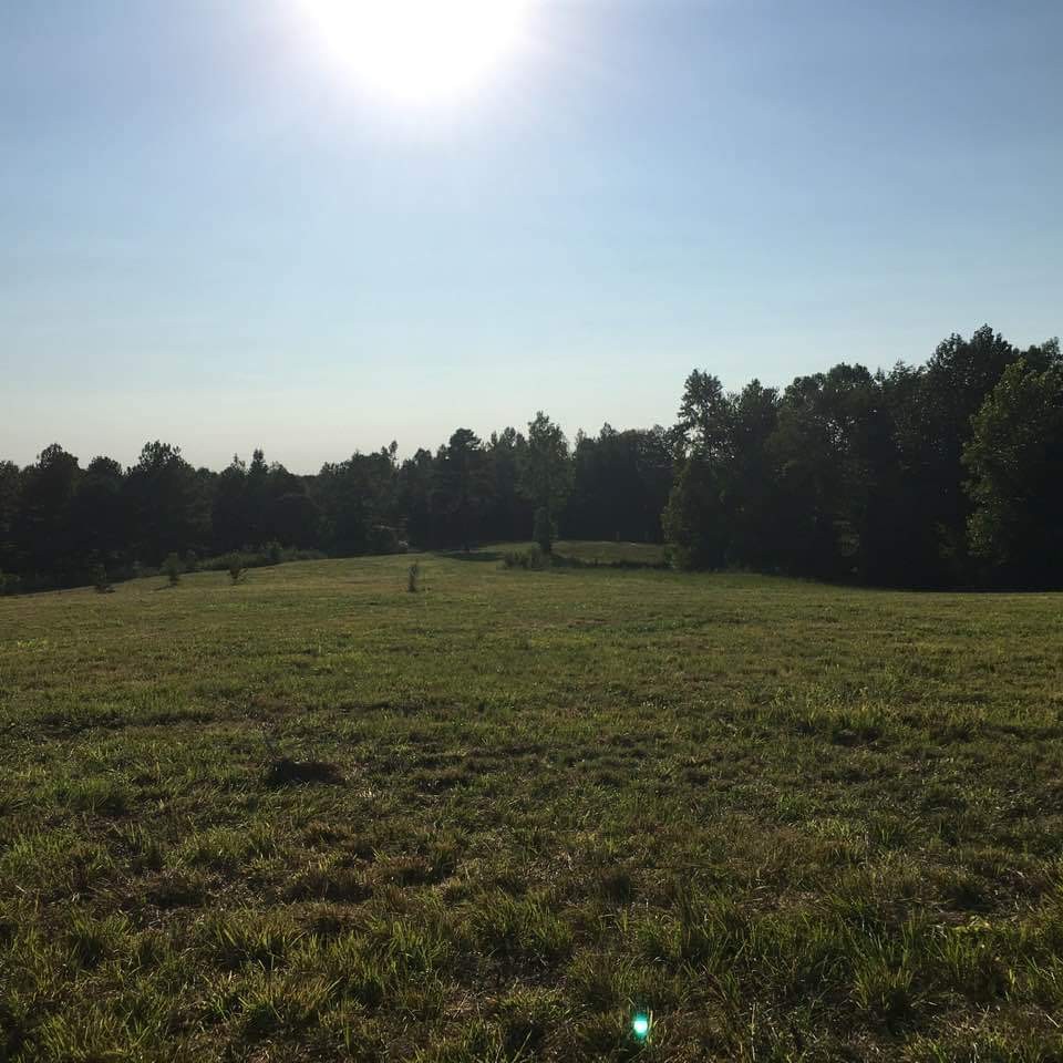 425 Hayes Ridge Road Indian Mound, TN 37079 - Photo 17 of 18 Gallery Image 17