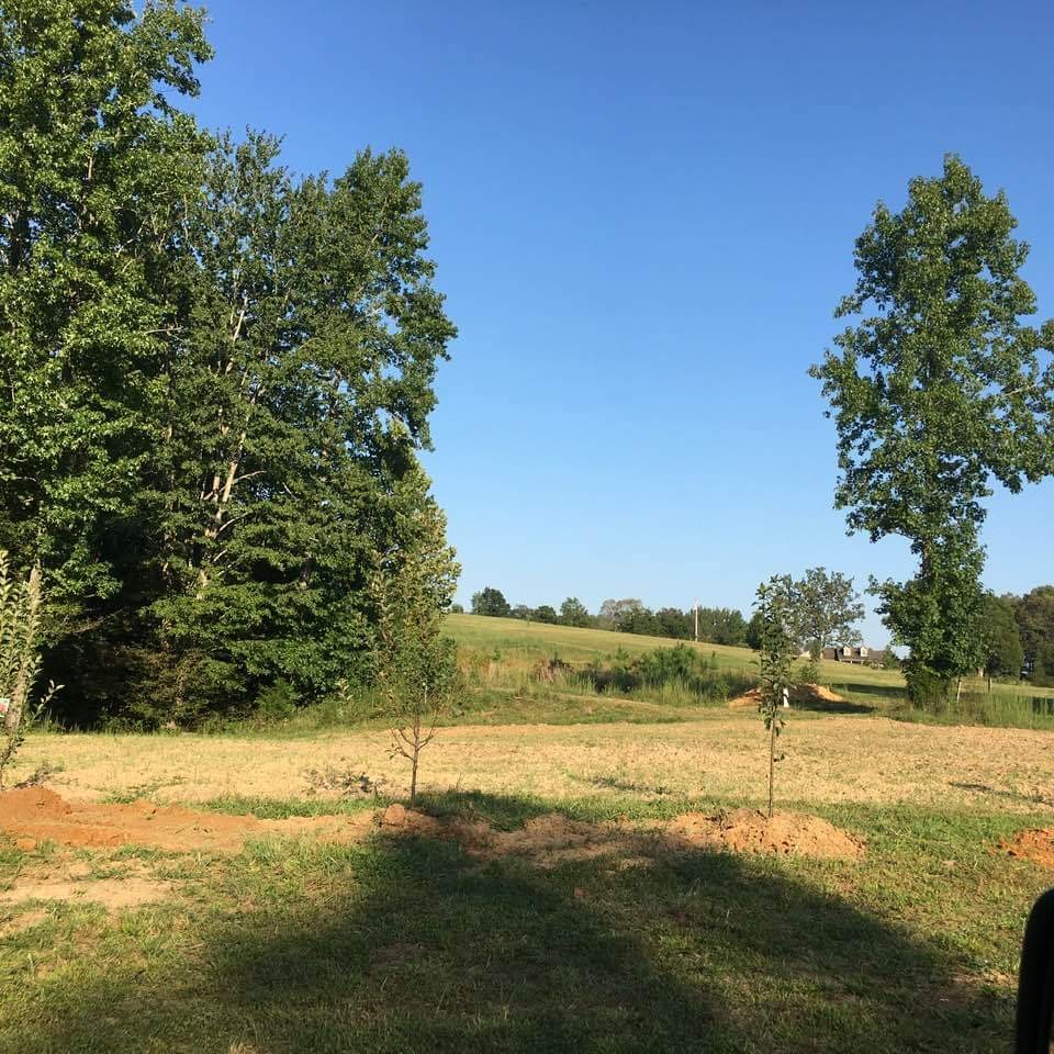 425 Hayes Ridge Road Indian Mound, TN 37079 - Photo 18 of 18 Gallery Image 18