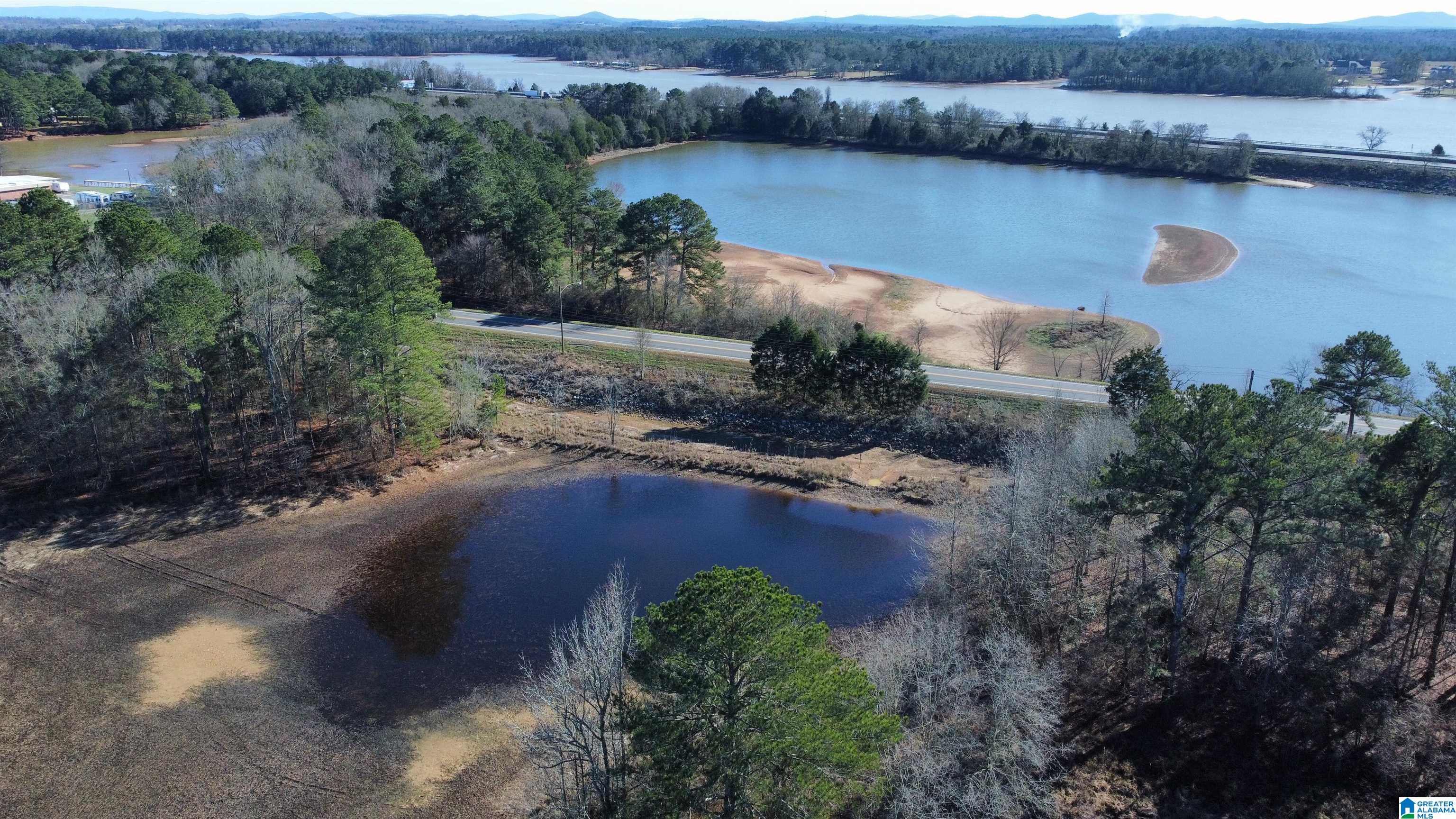78 Highway Riverside, AL 35135 - Photo 12 of 23