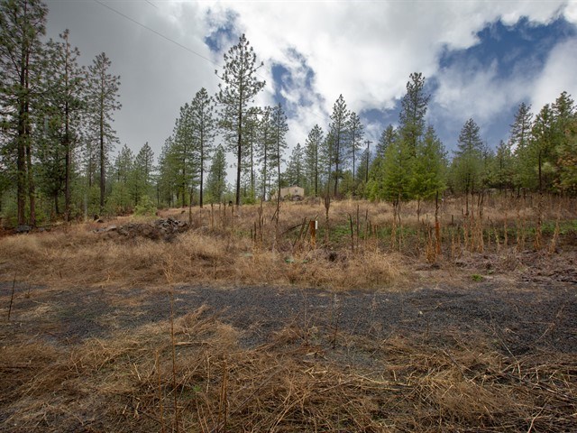 36950 Crescent Road Reardan, WA 99029 - Photo 13 of 13 Gallery Image 13