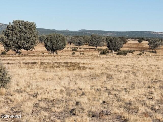 14 Tuscan Road Williams, AZ 86046 - Photo 16 of 17 a view of ocean view