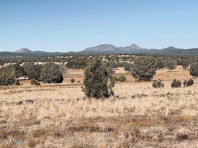 14 Tuscan Road Williams, AZ 86046 - Photo 5 of 17 a view of a lake with a mountain