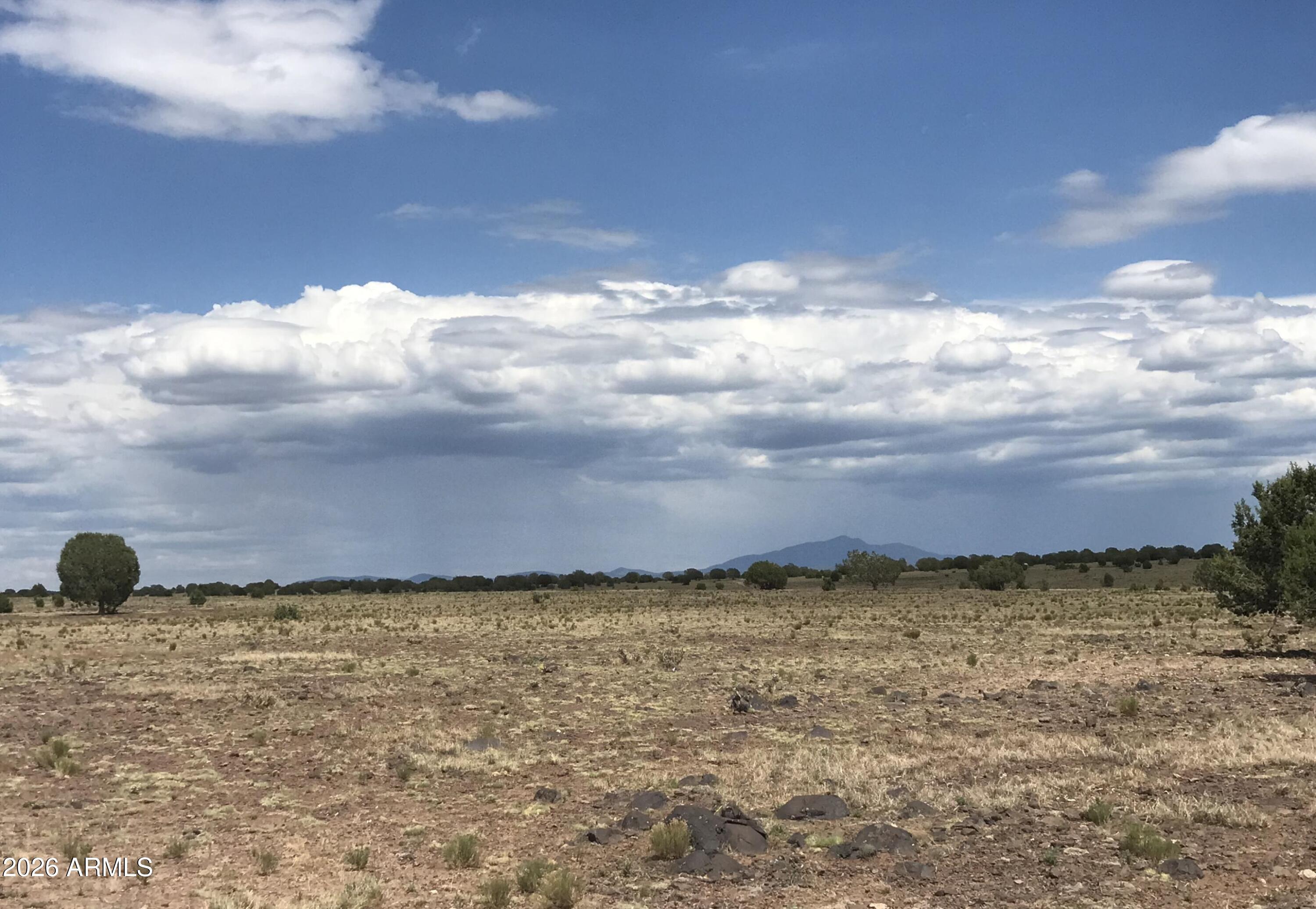14 Tuscan Road Williams, AZ 86046 - Photo 9 of 17 a view of a lake and a yard