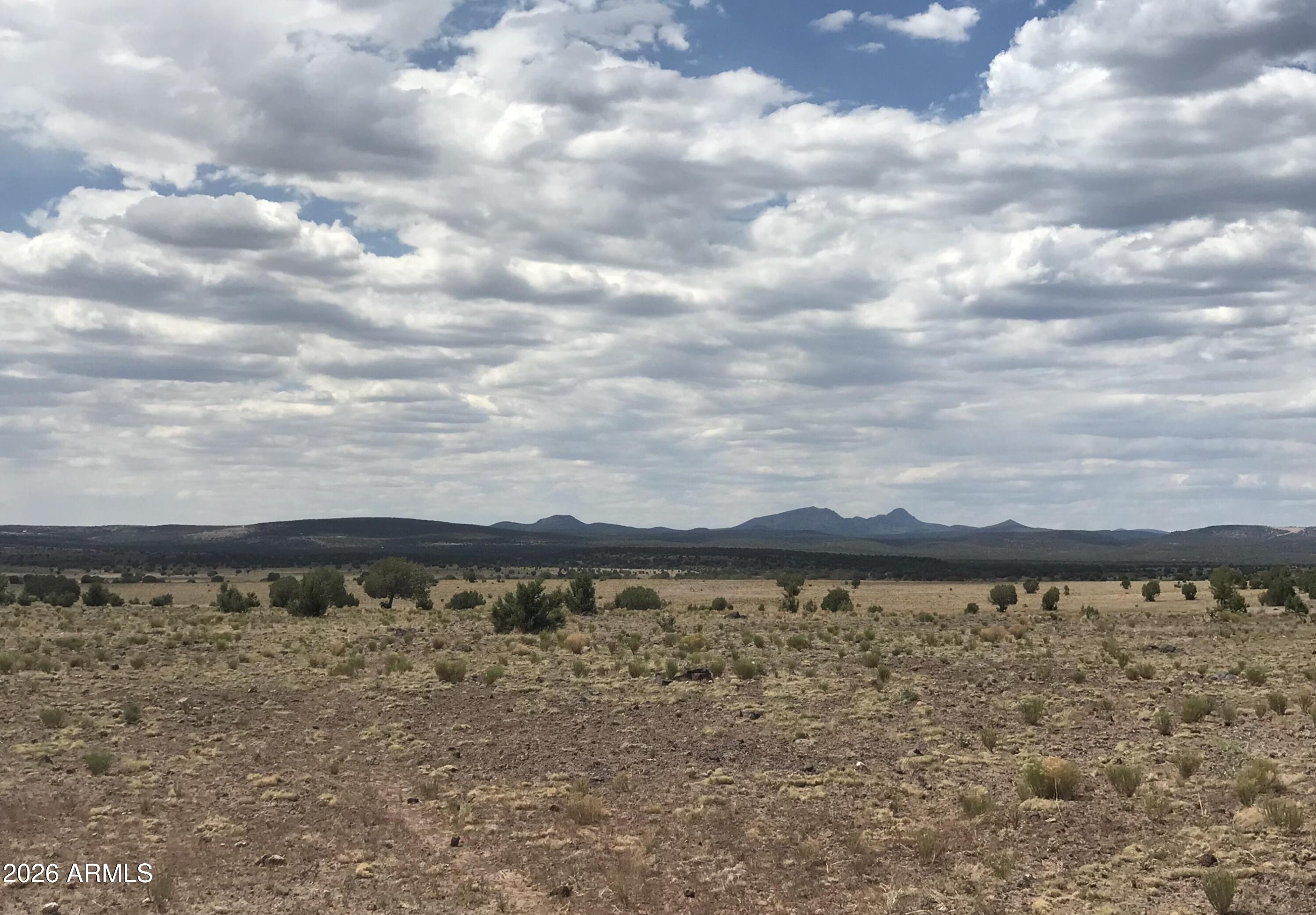 14 Tuscan Road Williams, AZ 86046 - Photo 10 of 17 a view of a lake with a big yard
