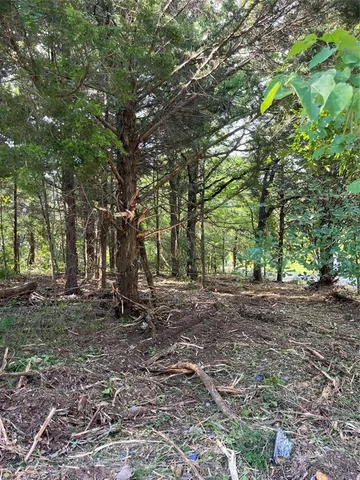 a view of a yard with plants and trees