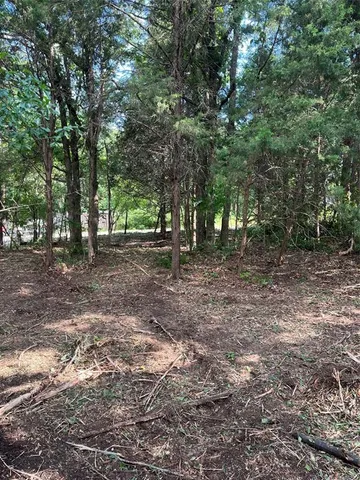 a view of outdoor space with trees