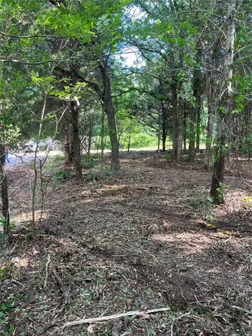 a view of a yard with plants and trees