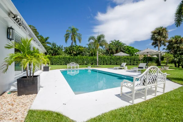 a view of a swimming pool with lawn chairs plants and palm trees